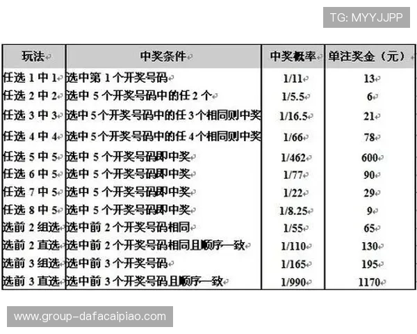 十一选五投注技巧与策略全解析助你提高中奖概率与稳定收益