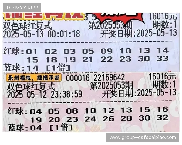 精准解读彩票走势掌握投注技巧提升中奖概率全攻略